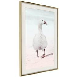 Arkiio Affisch Winter Duck [Poster] 20x30 Poster